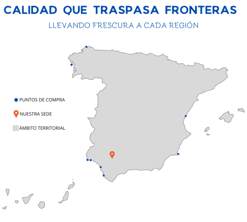 PUNTOS DE COMPRA